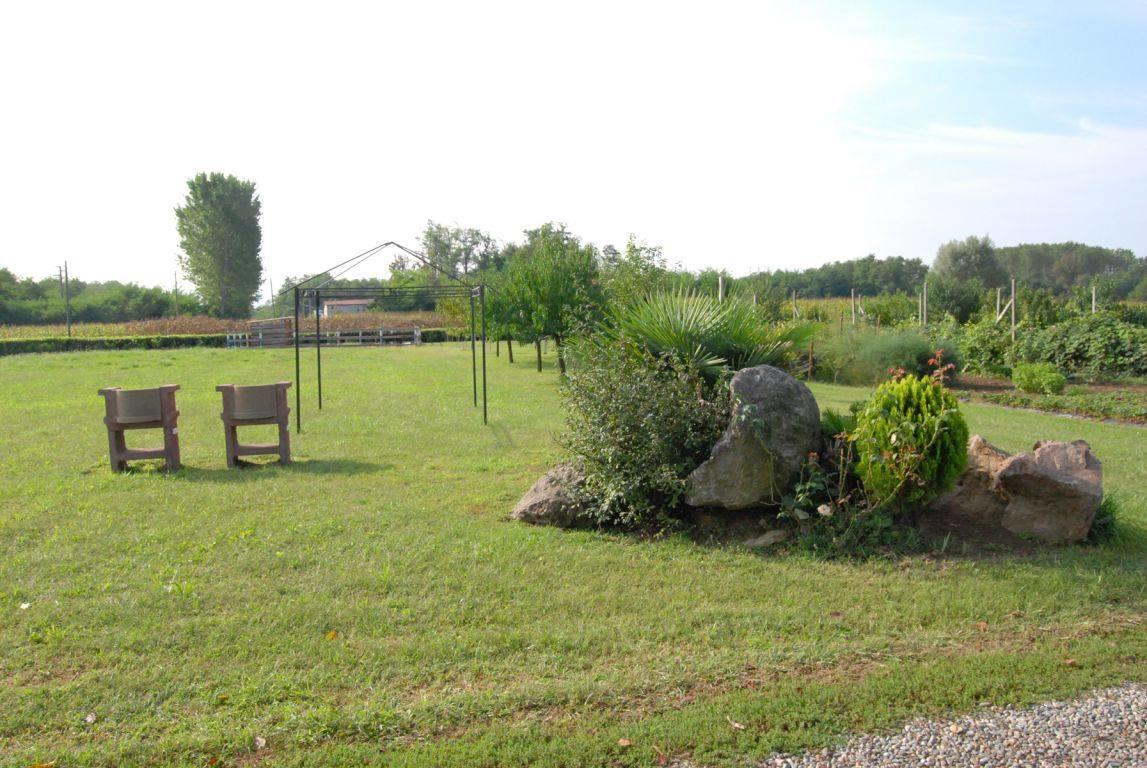 Agriturismo La Biandrina Carpignano Sesia Eksteriør billede