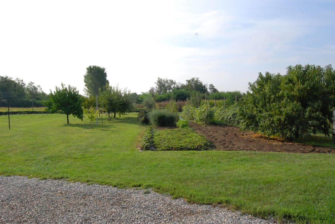 Agriturismo La Biandrina Carpignano Sesia Eksteriør billede