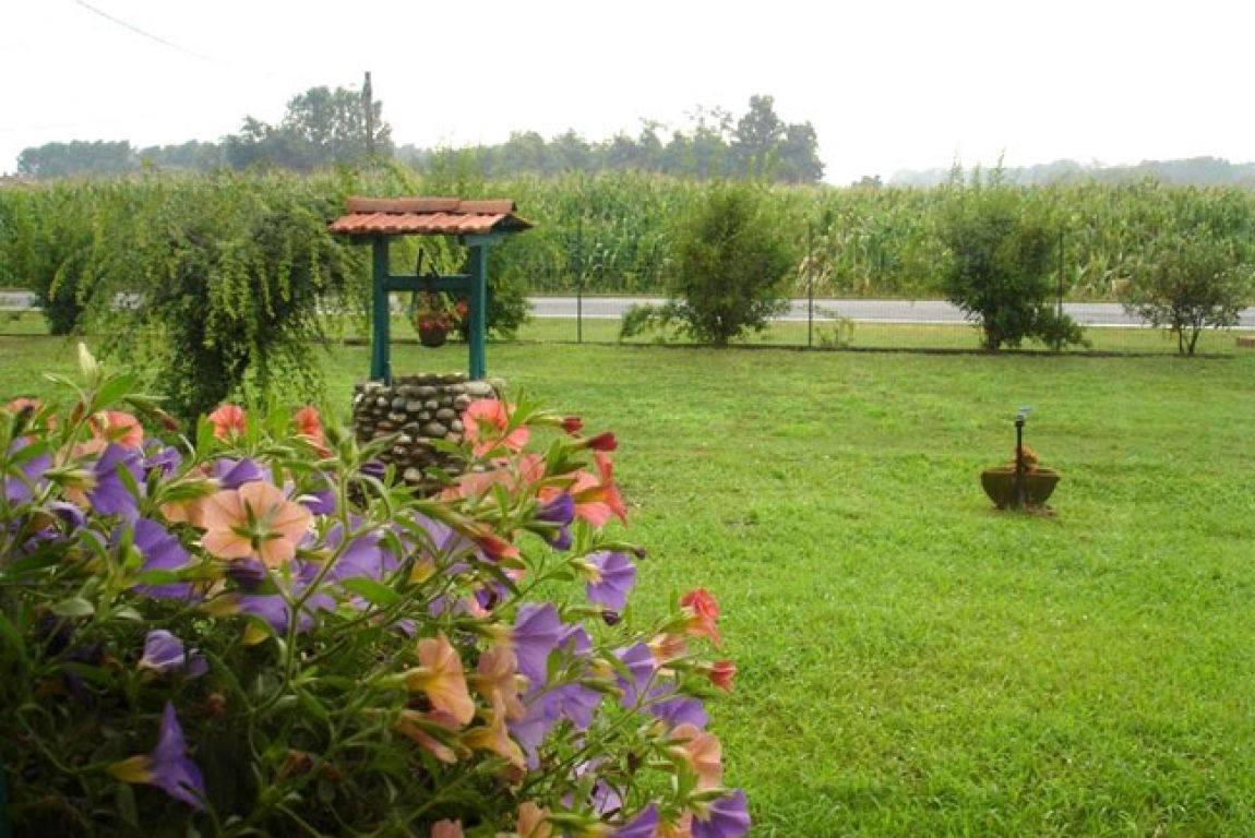 Agriturismo La Biandrina Carpignano Sesia Eksteriør billede